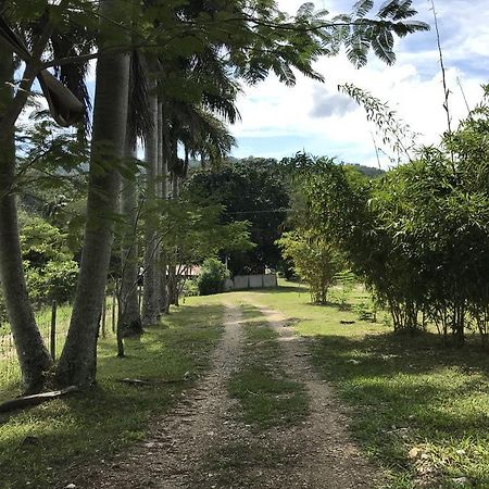 Cabanas Maya Rue 팔렝케 외부 사진